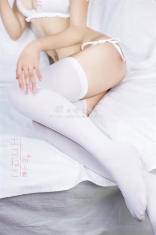 小野妹子-开胸猫 - 0006.jpg