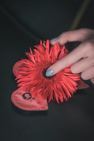 星野咪兔-花吃了那女孩(大象) - 0006.jpg