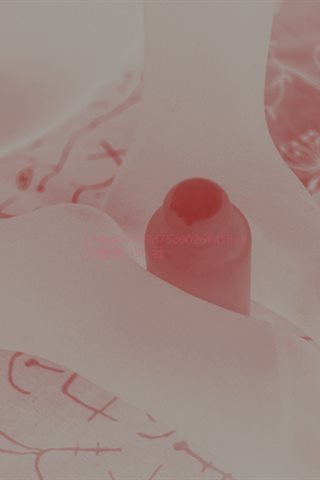 木花琳琳是勇者-樱桃连衣裙 - 0005.jpg