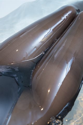 神楽坂真冬-真冬の电子相册24.《水の形》 - 0068.jpg