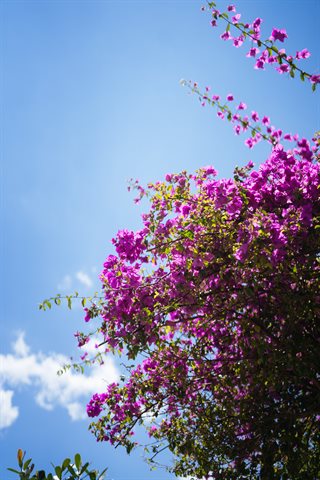 镜酱-静夏-1 - 0050.jpg