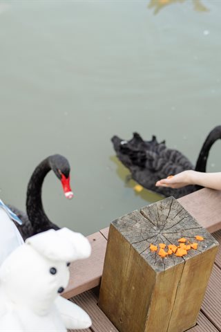 JKFUN-非编号命名-两女一ZOO - 0067.jpg