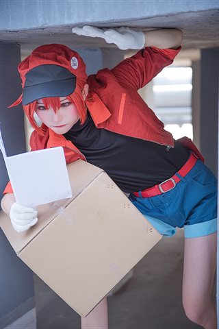 Kitaro_绮太郎-工作细胞02 - 0020.jpg