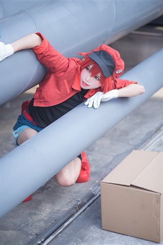 Kitaro_绮太郎-工作细胞02 - 0028.jpg