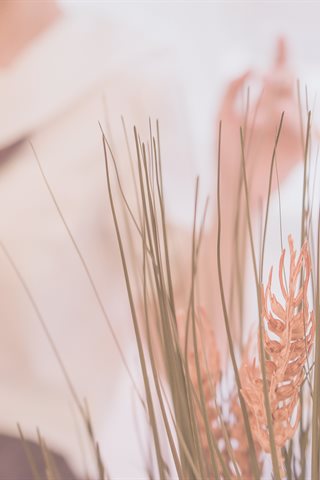 Messie Huang-Birthday Seifuku - 0011.jpg