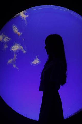 Shika小鹿鹿-生日作 - 0028.jpg