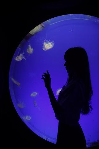 Shika小鹿鹿-生日作 - 0029.jpg