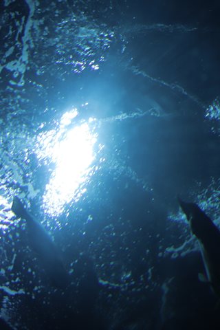 Shika小鹿鹿-生日作 - 0060.jpg