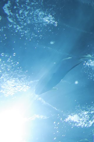 Shika小鹿鹿-生日作 - 0061.jpg