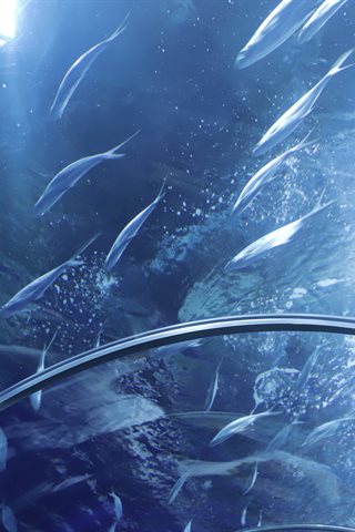 Shika小鹿鹿-生日作 - 0062.jpg