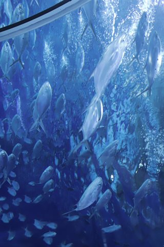 Shika小鹿鹿-生日作 - 0063.jpg