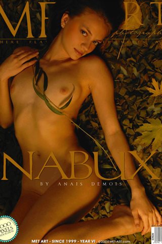 [MetArt] - 2004.11.14 - Erin C - Nabux - by Anais Demois