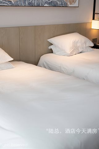 [XiuRen] No.3705 Biancheria intima sexy del letto dell'hotel a tema della trama del viaggio d'affari del modello Lu Xuanxu - 0007.jpg